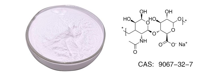 Sodium hyaluronate powder